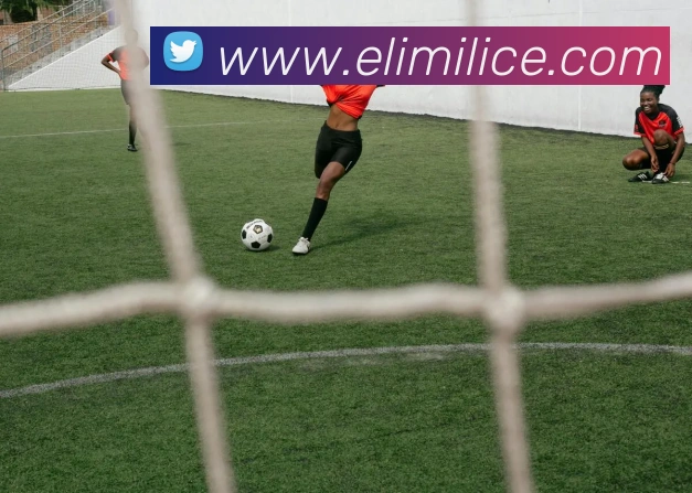 mk体育网址平台生态图