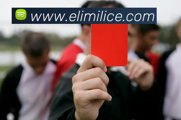 mk体育网址APP 封面图